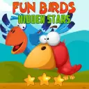 Fun Birds Hidden Stars